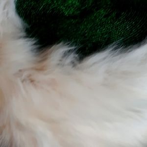 FOX Fur Hat